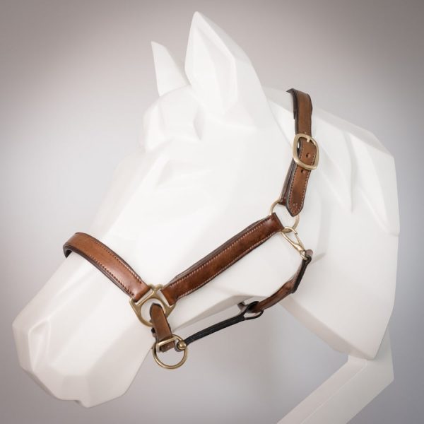 Stallhalfter  Classy  aus feinem Leder - edel und puristisch Rabatt – Bild 2