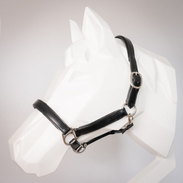 Stallhalfter  Classy  aus feinem Leder - edel und puristisch Rabatt